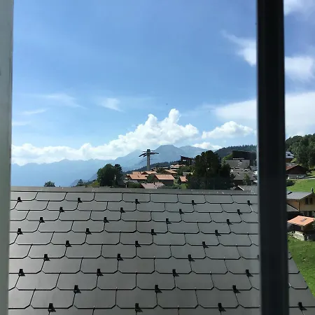 شقة شيه مارشال